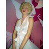 Marilyn: A star forever remembered