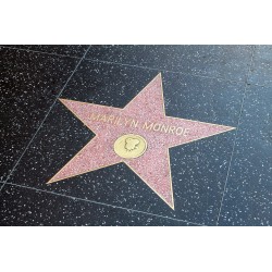 Marilyn: A star forever remembered